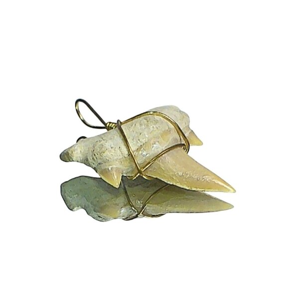 Vintage Fossilized Mako Shark Tooth Pendant Wrapped In Bronze Wire - Picture 2 of 5